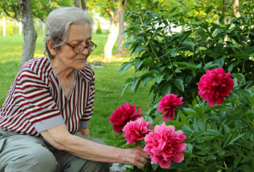 elder lady taking care of her flowers